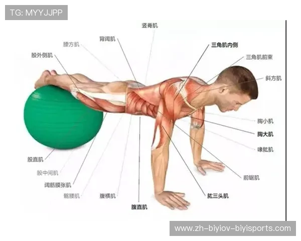 胳膊如何用健身器材有效增肌塑形 胳膊如何用健身器材有效增肌塑形